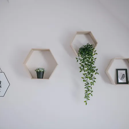 Schoendorf - Virtual Reception