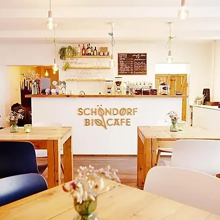 Schoendorf - Virtual Reception * Μπρατισλάβα