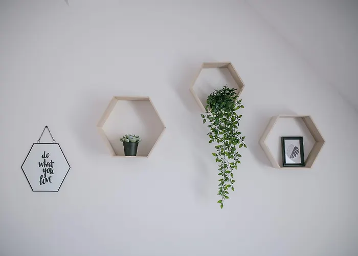 Schoendorf - Virtual Reception