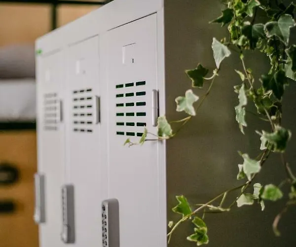 Schoendorf - Virtual Reception * 布拉迪斯拉发