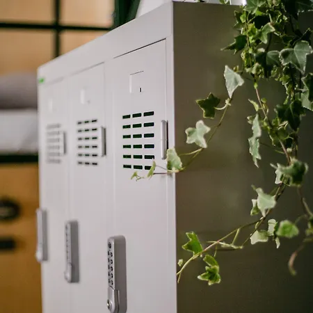 Schoendorf - Virtual Reception 旅馆